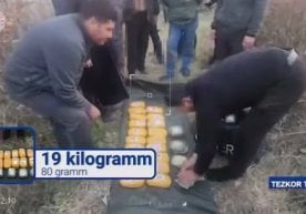 Тошкент шаҳри ва Наманган вилоятида гиёҳванд моддалар