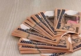 2025/2026 ўқув йилидан бошлаб Ўзбекистондаги давлат олий