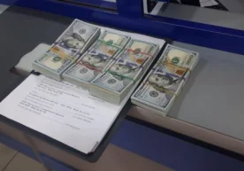 Гулистон шаҳар Давлат солиқ инспекцияси фойдасига «Сирдарё