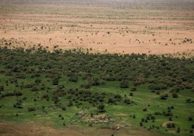 Foto: Earth.org Xitoy insoniyat tarixidagi eng keng