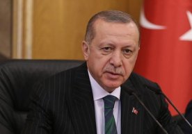 Erdo‘g‘an nasha o‘simligidan sumka va paketlar tayyorlash taklifini kiritdi фото