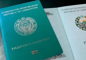 Ўзбекистонда “Шажара” номли янги рақамли ахборот тизими