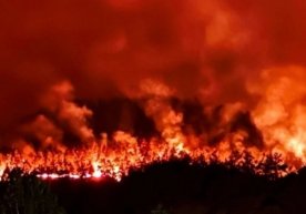 Туркиянинг Сакаря вилоятига қарашли Тараклı туманида бугун