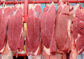 2026 йилнинг январь–феврал ойларида Ўзбекистон хориждан