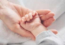 Миллий статистика қўмитаси матбуот хизмати 2025 йилнинг