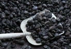 Миллий статистика қўмитаси маълумотларига кўра, 2025