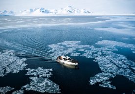 Олимлар Арктикадаги денгиз музлари қачон бутунлай эриб кетишини ҳисоблаб чиқди фото