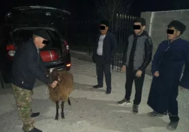 Фото: Самарқанд вилоят ИИБ ахборот хизмати 26 февраль куни