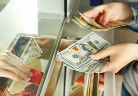 Markaziy bank tijorat banklarining shoxobchalari qanday tartibda ishlashini tushuntirdi фото