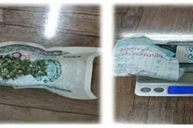 Гиёҳвандлик воситаларининг ноқонуний айланмасига қарши