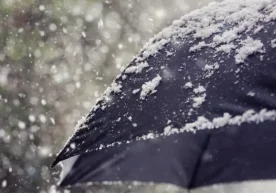 “Ўзгидромет” ҳафтанинг дастлабки кунлари учун об-ҳаво