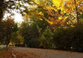 Ўзгидромет маркази 10 ноябрь куни кузатиладиган об-ҳаво