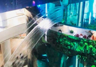 Moskvadagi savdo markazida hajmi 1 mln litrli akvarium darz ketdi фото