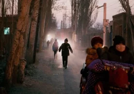 Расмий маълумотларга қараганда, Шарқий Туркистонда деярли