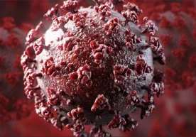 Foto: «Depositphotos / viz-arch» Koronavirus infeksiyasi