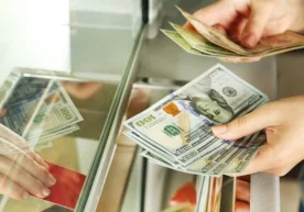 Ўзбекистонга кириб келган трансчегаравий пул ўтказмалари