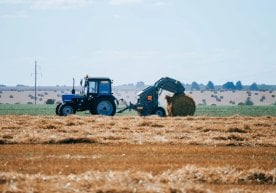 Another important decision aimed at supporting the