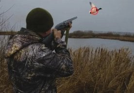 Ўзбекистонда 1 мартдан бошлаб ов мавсуми расман ёпилади.