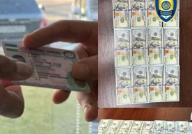 Тошкентда «права» олиб бериш билан боғлиқ фирибгарлик ҳолатлари фош этилди фото