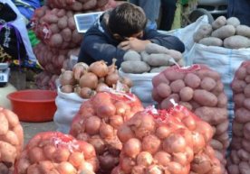 «Oila va jamiyat» gazetasida bozorlarda piyoz narxining