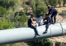 Samarqandda to‘rt farzandning onasi bo‘lgan 26 yoshli ayol o‘zini o‘ldirmoqchi bo‘ldi фото