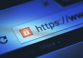 Страсбургдаги Европанинг инсон ҳуқуқлари бўйича суди 17