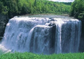 Бугунги кунда жаҳон олимлари дарё, денгиз, кўл, сизот