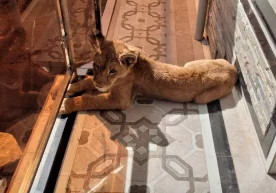 Фото: Ижтимоий тармоқлар 29 август куни Қонунчилик