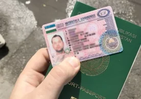 Қашқадарё вилояти Шаҳрисабз туманида яшовчи Ж.С. (аёл)