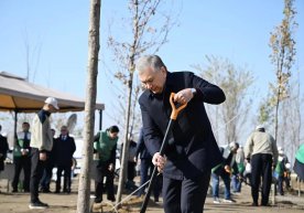 Shavkat Mirziyoyev «Yashil makon» umummilliy loyihasining yangi bog‘ida ko‘chat ekdi (foto) фото