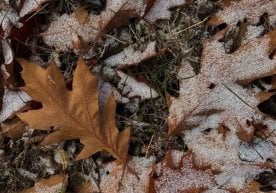 Ўзбекистон бўйлаб ноябрь ойидаги об-ҳаво ҳақида маълумот