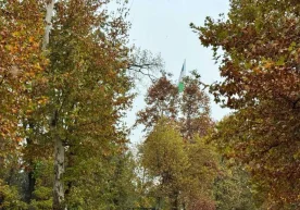 7 ноябр куни Тошкентда кундузи ҳаво ҳарорати +10…+12