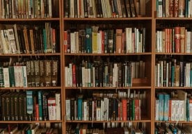 2025-йил 1-январ ҳолатига кўра, Ўзбекистонда 15 мингга