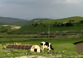 O‘zgidromet: Mart oyi boshida biroz sovuq bo‘ladi, keyin kunlar isiydi фото