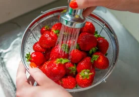 Қулупнай — ёзнинг энг севимли ва мазали неъматларидан