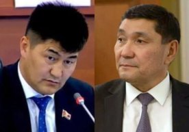 Kollaj: Deputat Shayloobek Atazov va qishloq xo‘jaligi