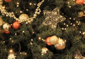 2025-йил декабр ойида Ўзбекистон аҳолиси Конституция куни