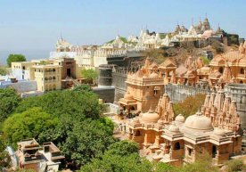 Фото: «Gujaraticulture.org» Ҳиндистонда шаҳар бўйлаб