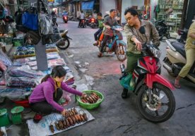 Foto: National Geographic Janubi-sharqiy Osiyodagi yovvoyi