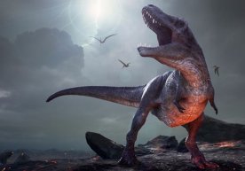 Olimlar yirtqich dinozavrlarning yangi turini aniqladi фото