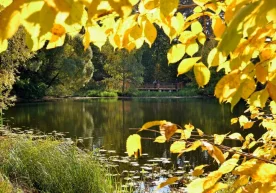 Ўзгидромет 17 ноябрь кунига оид об-ҳаво прогнози ҳақида