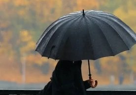 Ўзгидромет 29 сентябр куни кузатилиши мумкин бўлган