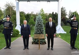 Shavkat Mirziyoyev va Ilhom Aliyev ko‘chat o‘tqazdilar (foto) фото