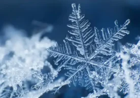 In the middle of March, cold weather up to –4°C is