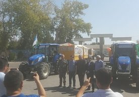 Viloyatda 2019 yil hosili uchun 73 ming gektar maydonda