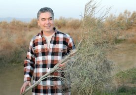 Turkmaniston prezidenti koronavirusga davo bo‘ladigan giyohni tavsiya qildi фото
