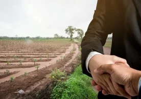 Термиз тумани ҳокимлиги қошидаги ишчи гуруҳ мансабдор