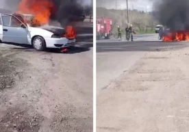 Кеча, 21 март куни Тошкент вилояти Бўстонлиқ туманида