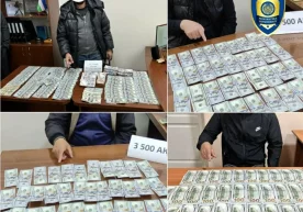 Фото: Бош прокуратура ҳузуридаги департамент Тошкент