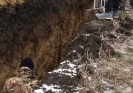 Foto: Videodan kadr Zaporoje viloyatida okoplar qazigan